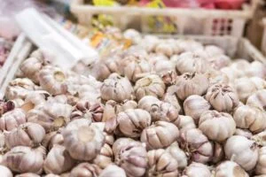 bawang (1)