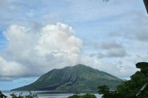 images (2) (1)