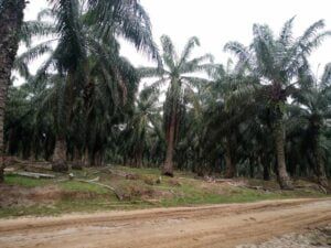 IMG_20240514_135827_080