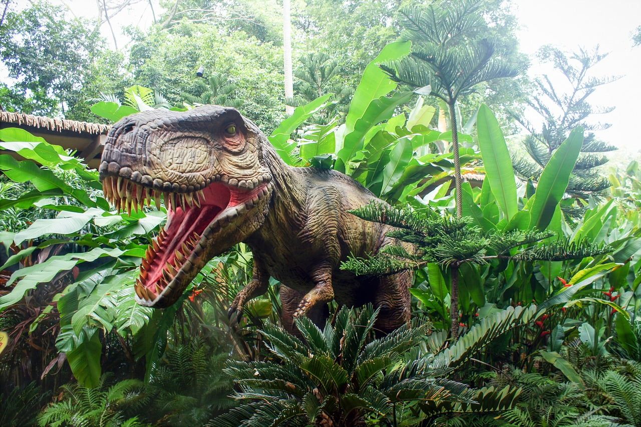 singapore-zoo-2164309_1280