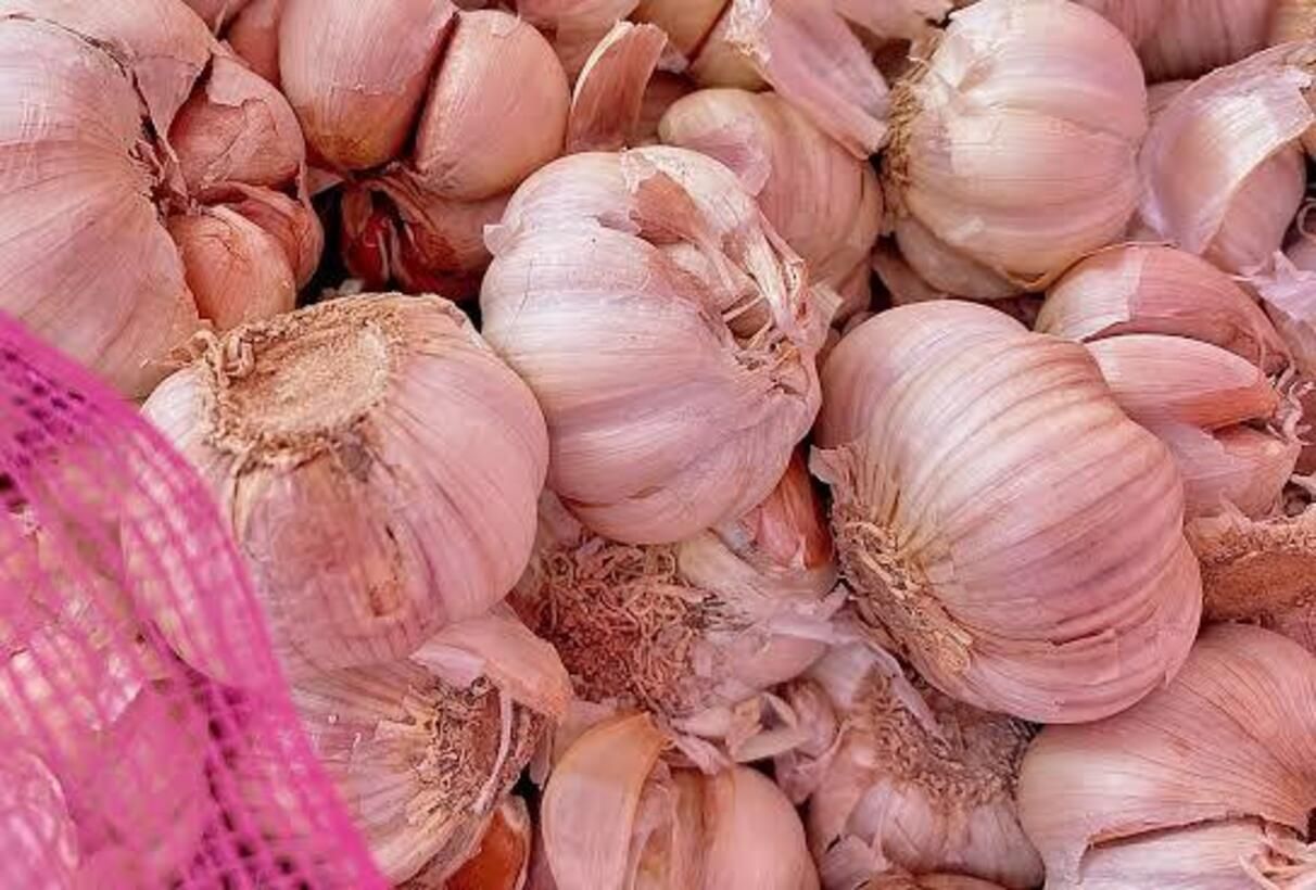 Bawang Putih