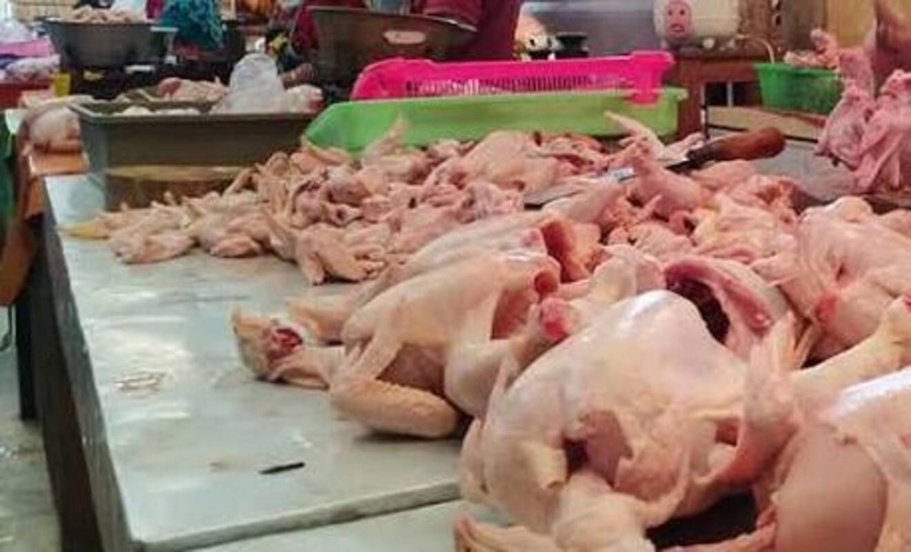 Pedagang Daging Ayam