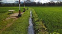 Irigasi Sawah