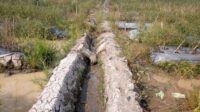 Saluran Irigasi Pertanian Batu Bara jurnallugas