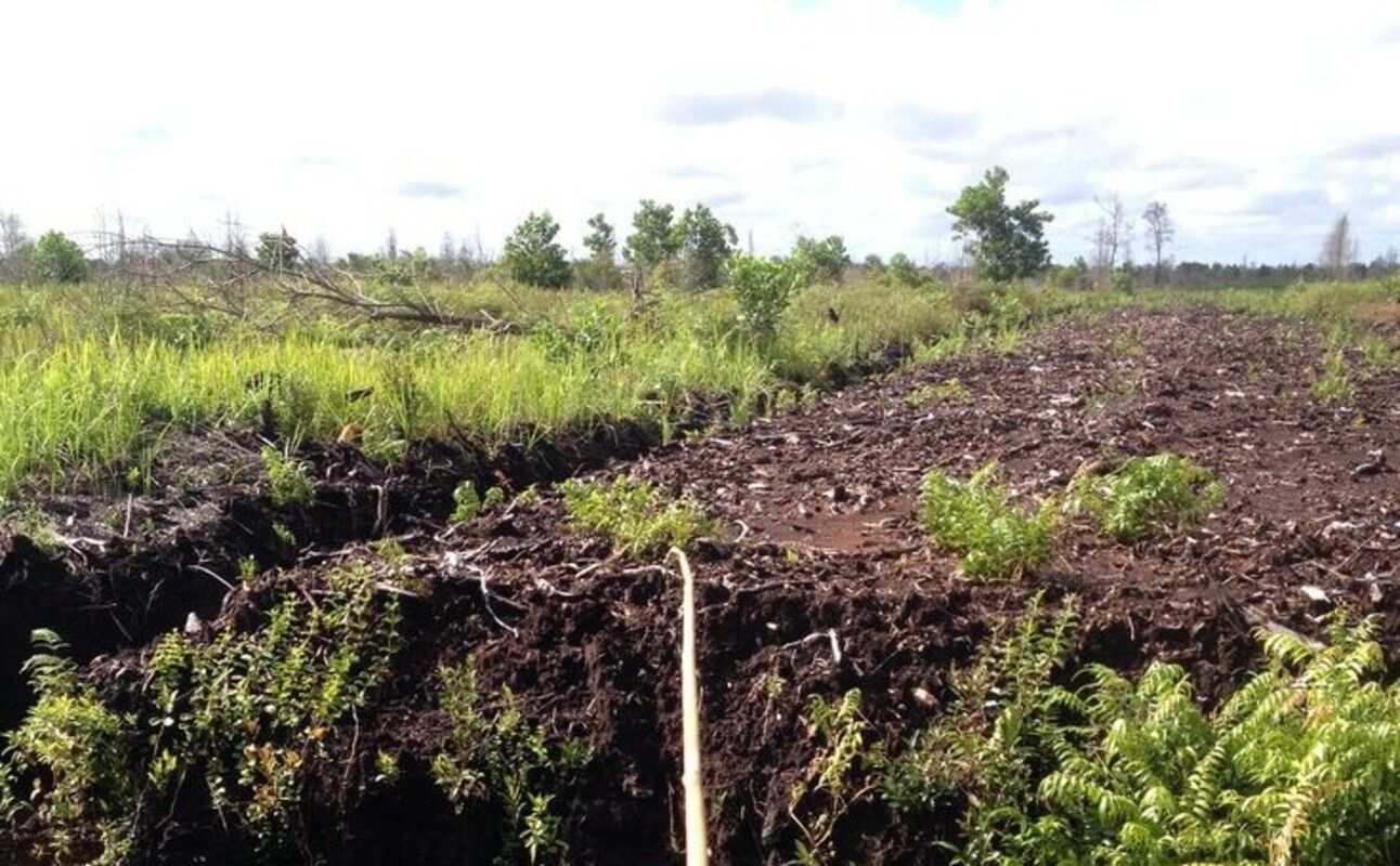 Lahan Tanah Girik Adat