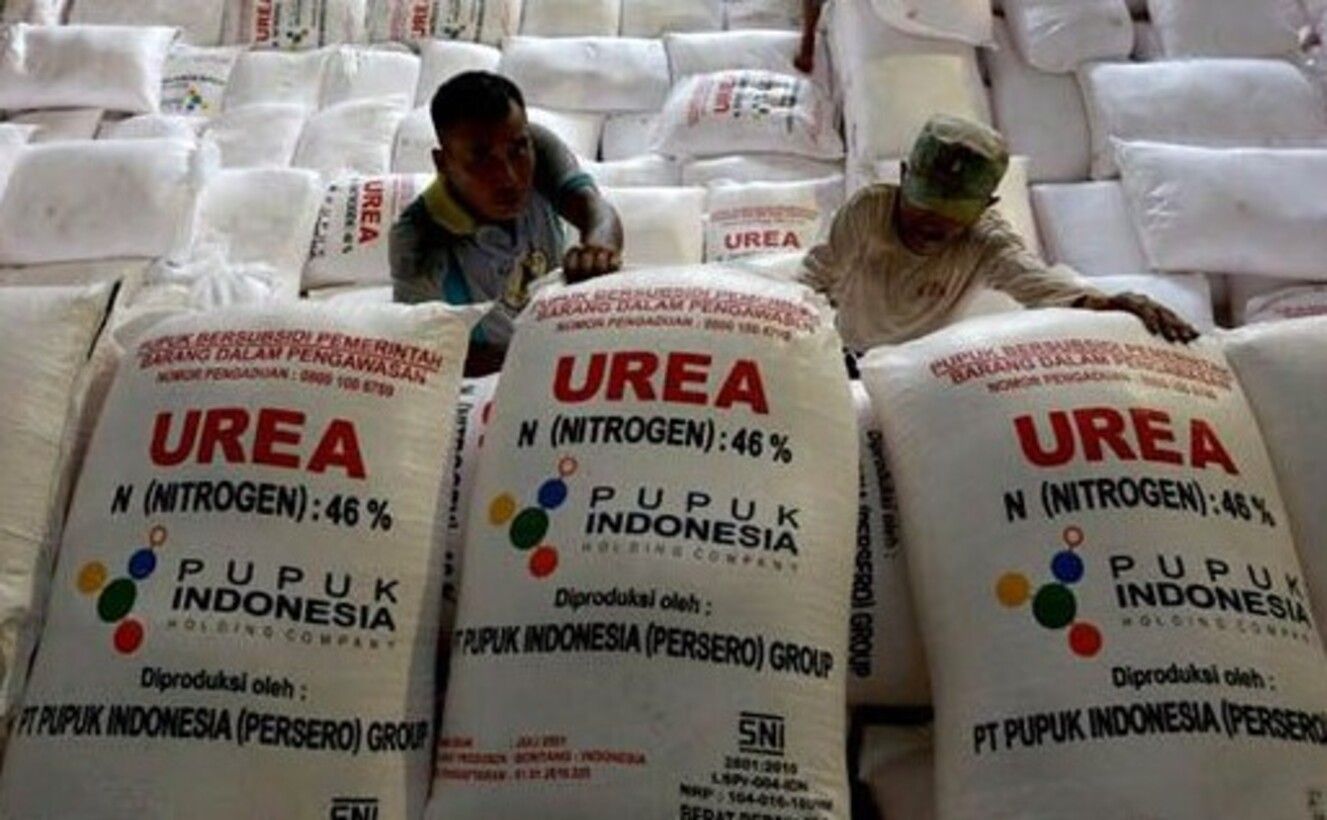 Pupuk Subsidi Bersubsidi