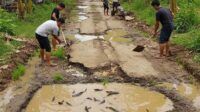 Jalan Desa Rusak