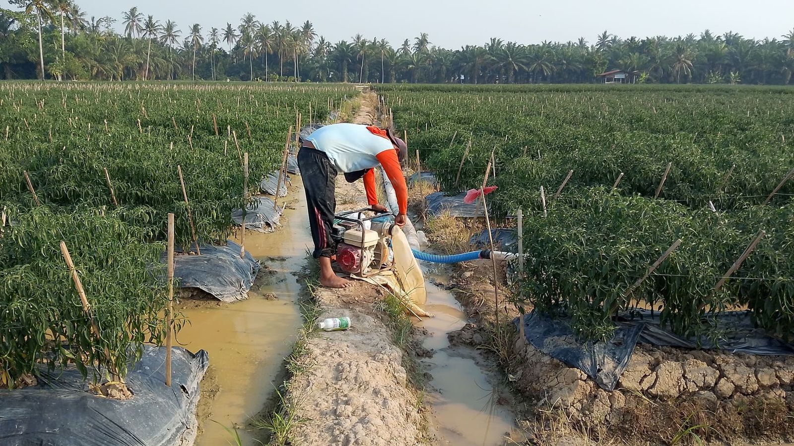 Petani sedang memperbaiki mesin pompa air