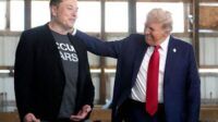 Elon Musk Donald trump