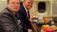 Elon musk Trump America Party