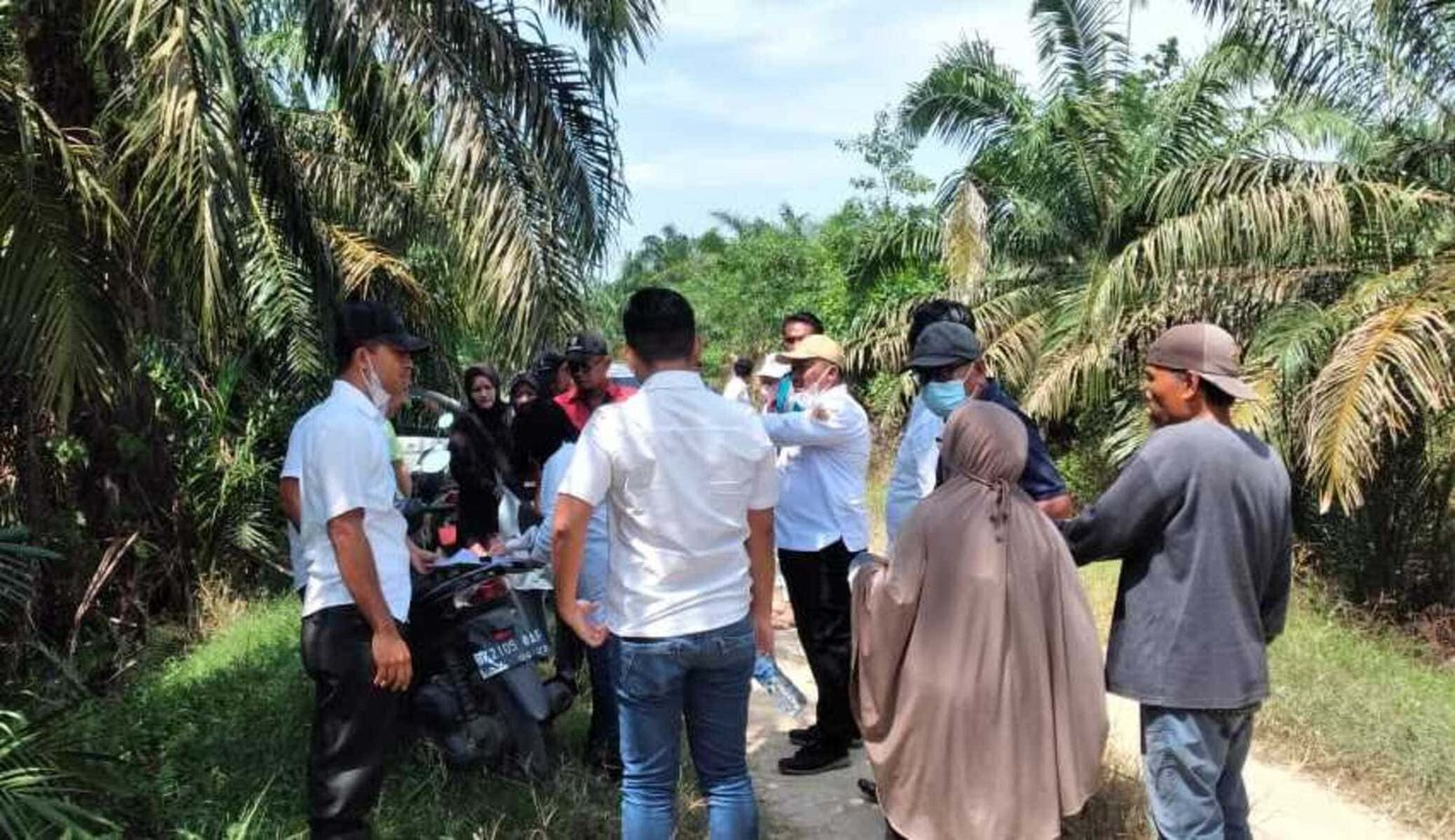 Lahan bonar Saragih