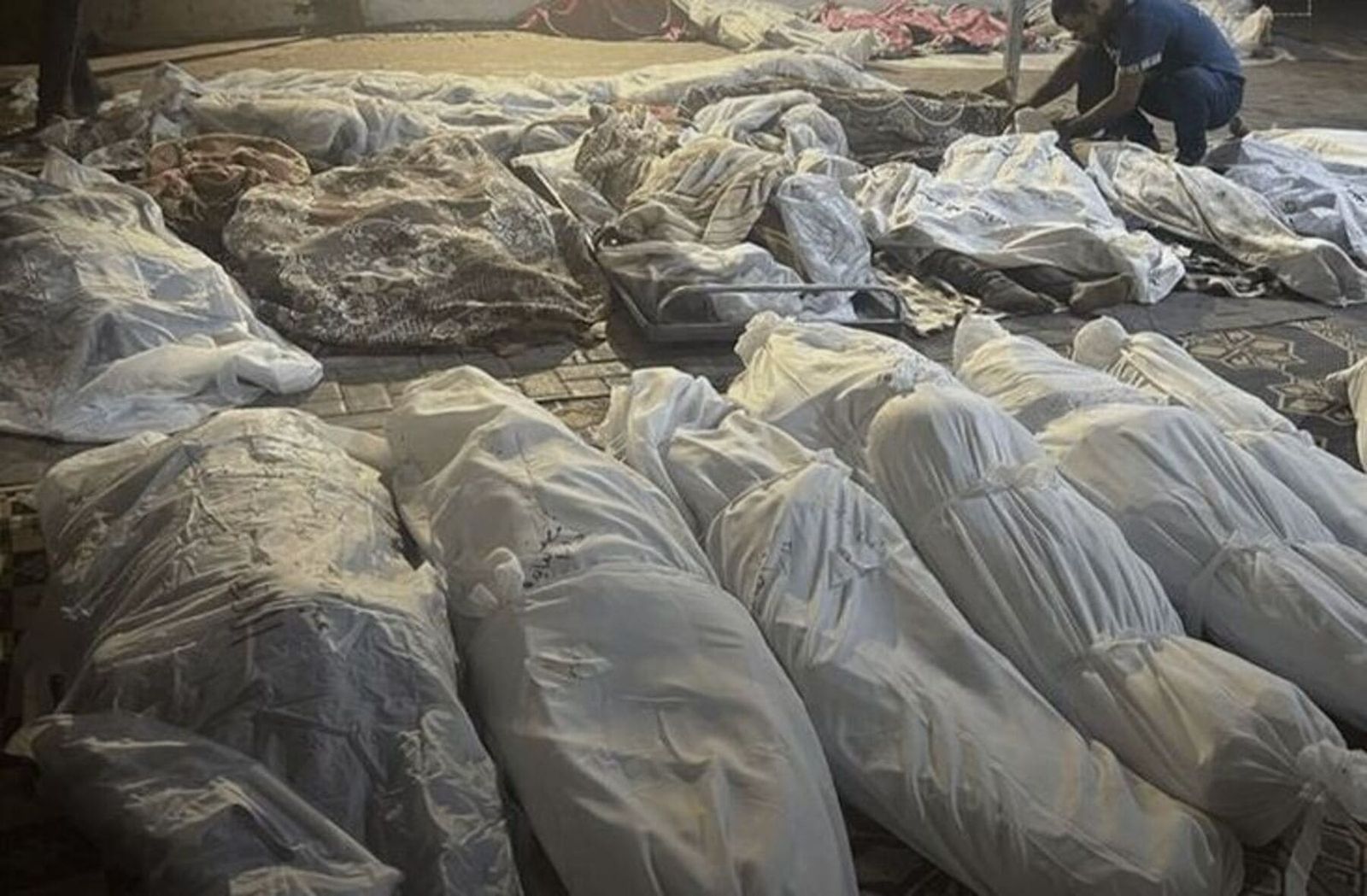Warga Gaza Tewas oleh Israel