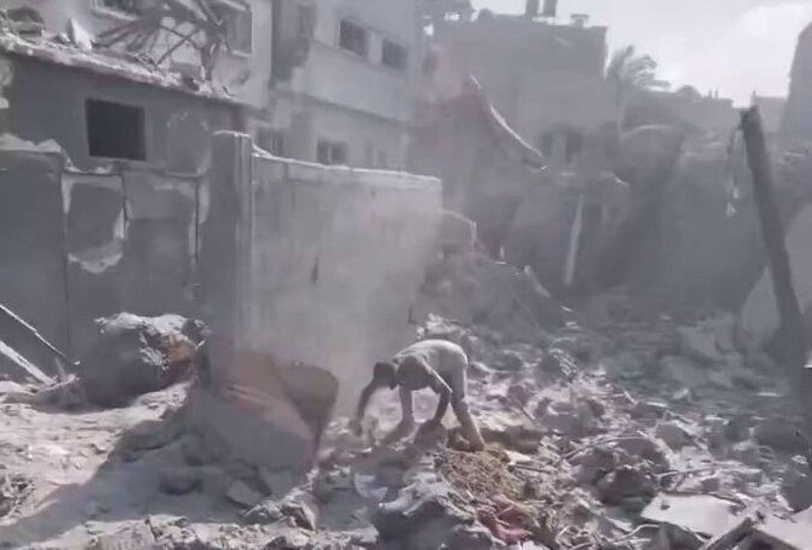 Gaza Palestina