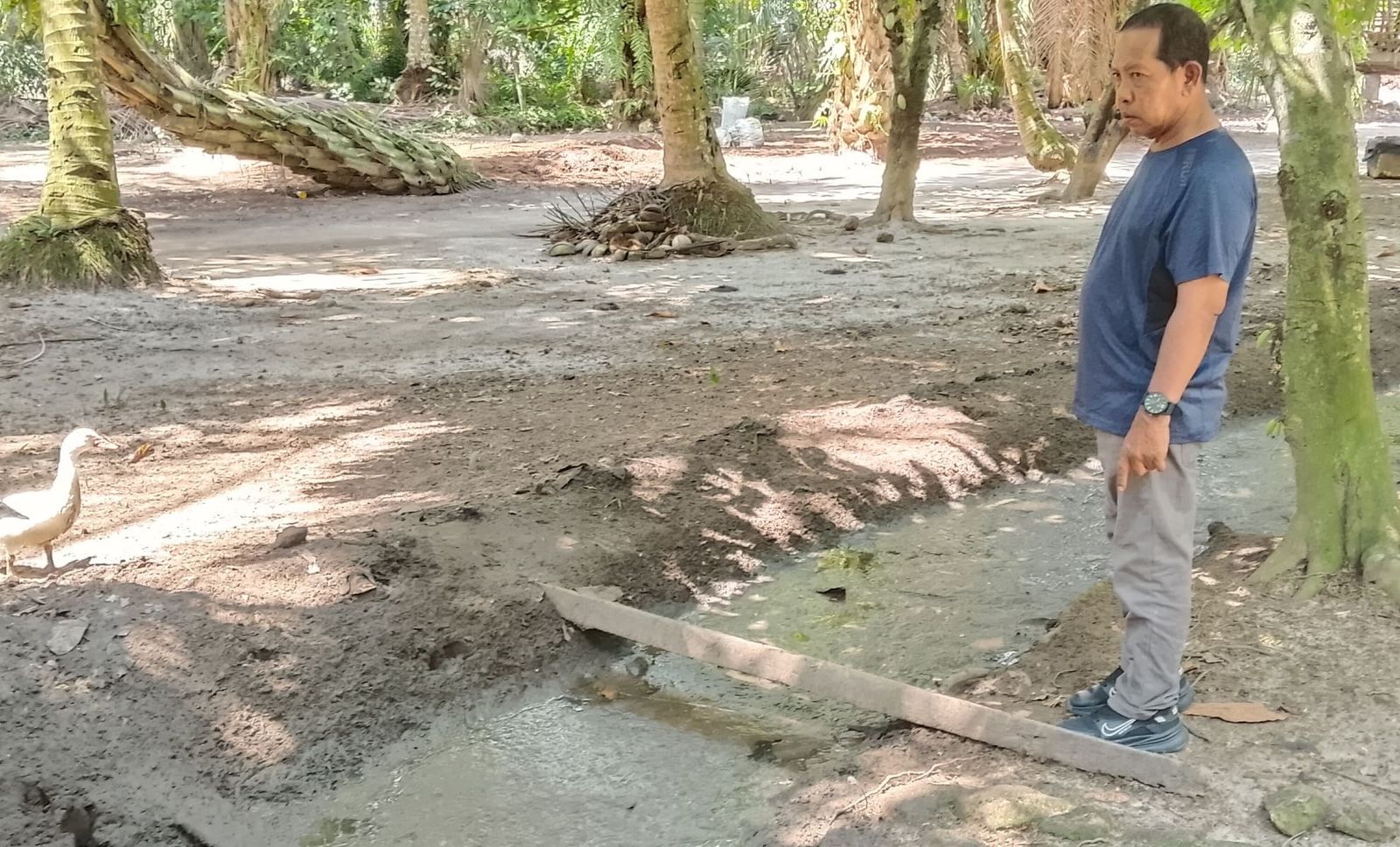 Kades Lubuk Cuik m Yasin Daulay di Simpang Nangka
