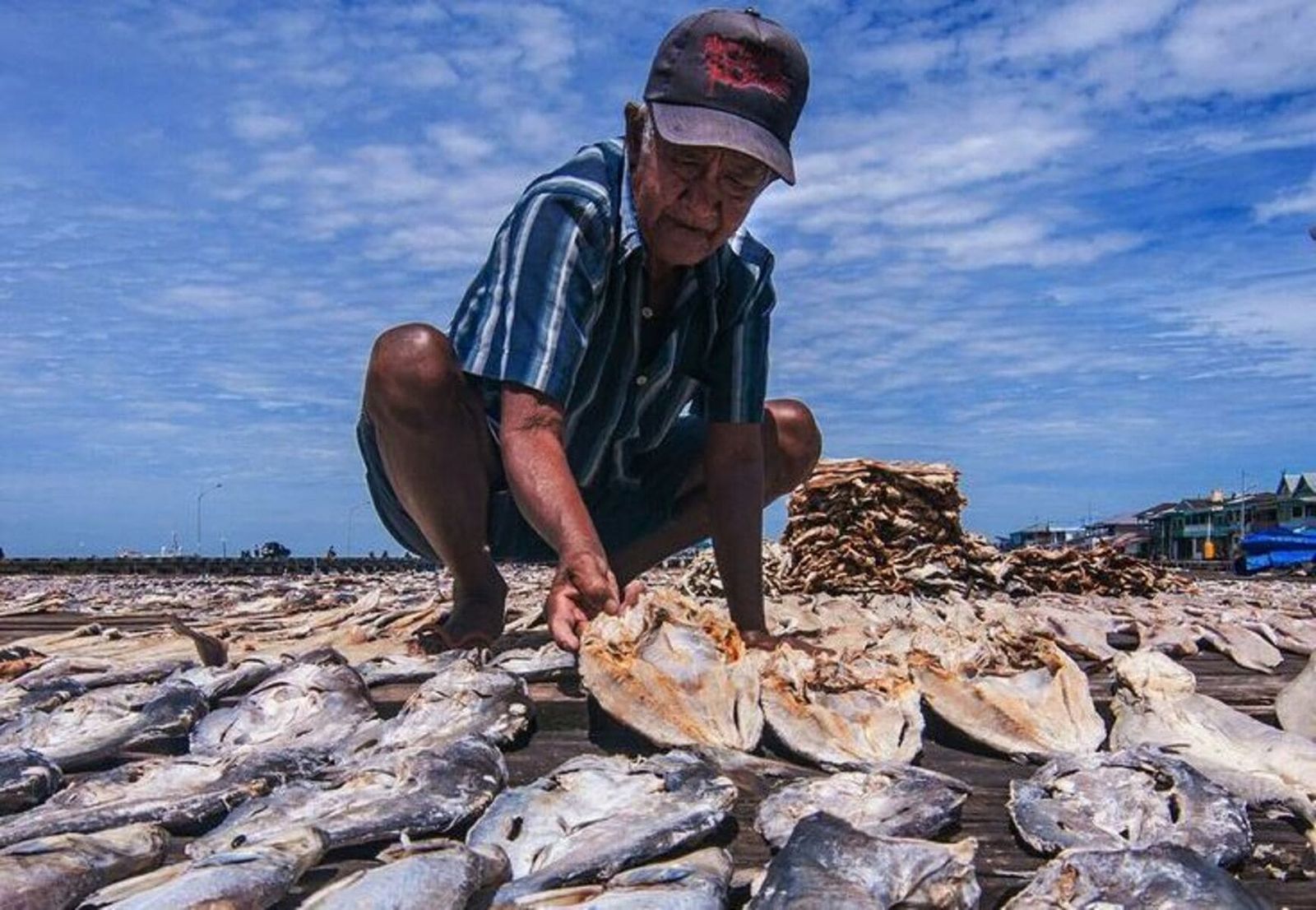Nelayan Ikan Asin Nelayan Ikan Asin