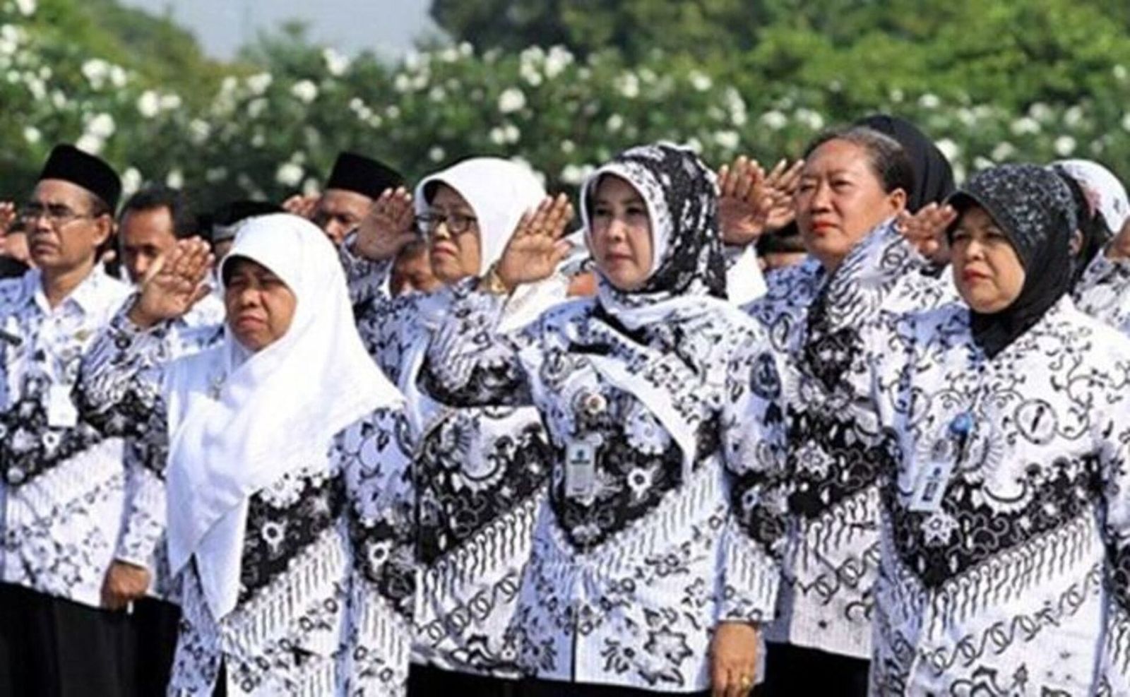 PNS Gaji ASN