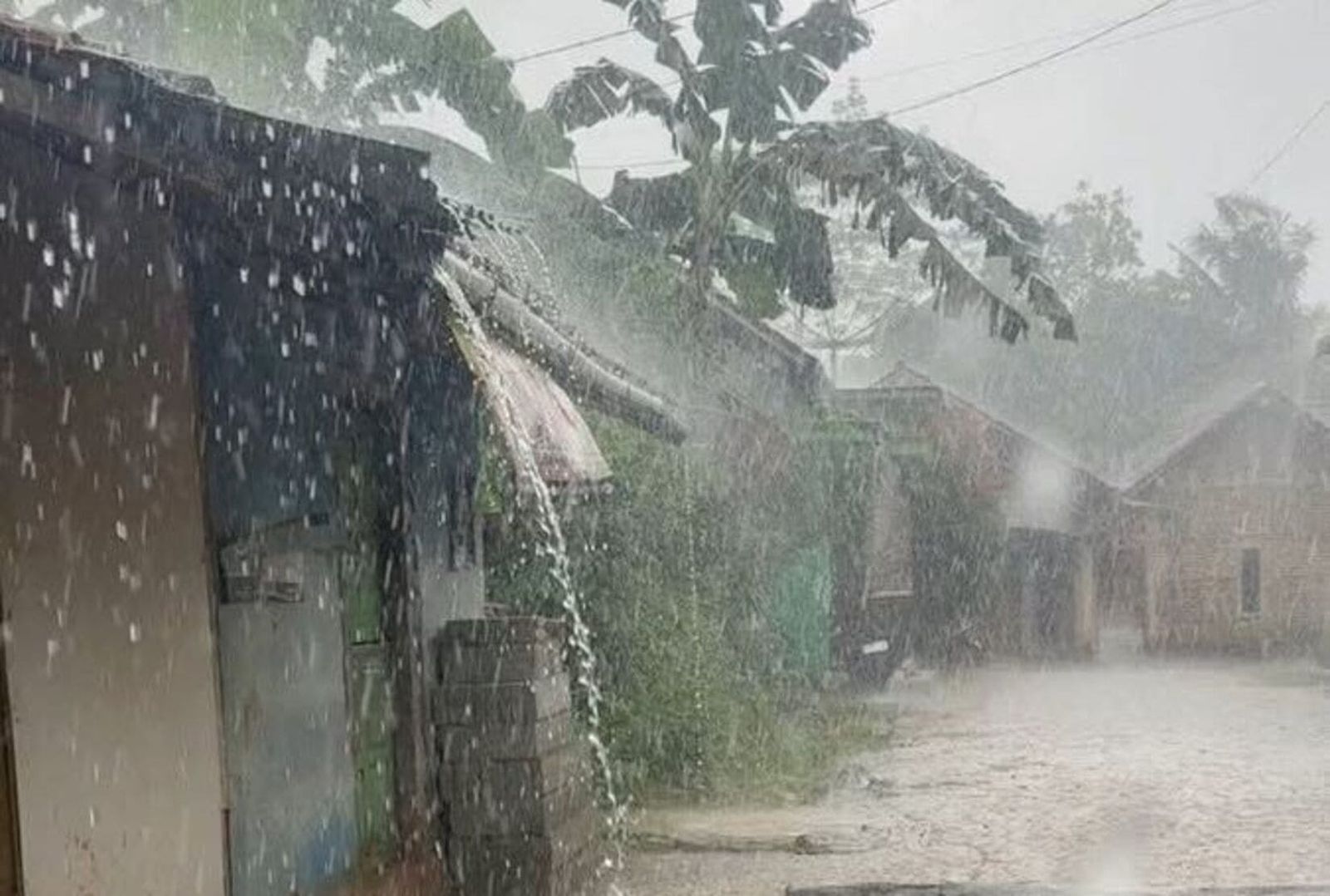 Hujan (1)