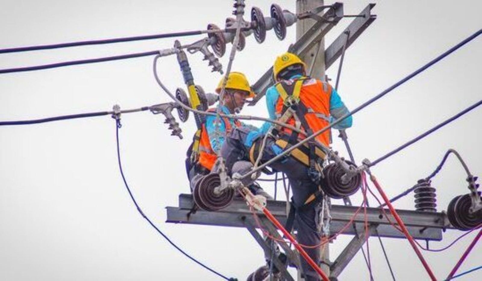 Petugas PLN