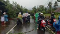 Hujan deras lebat angin kencang