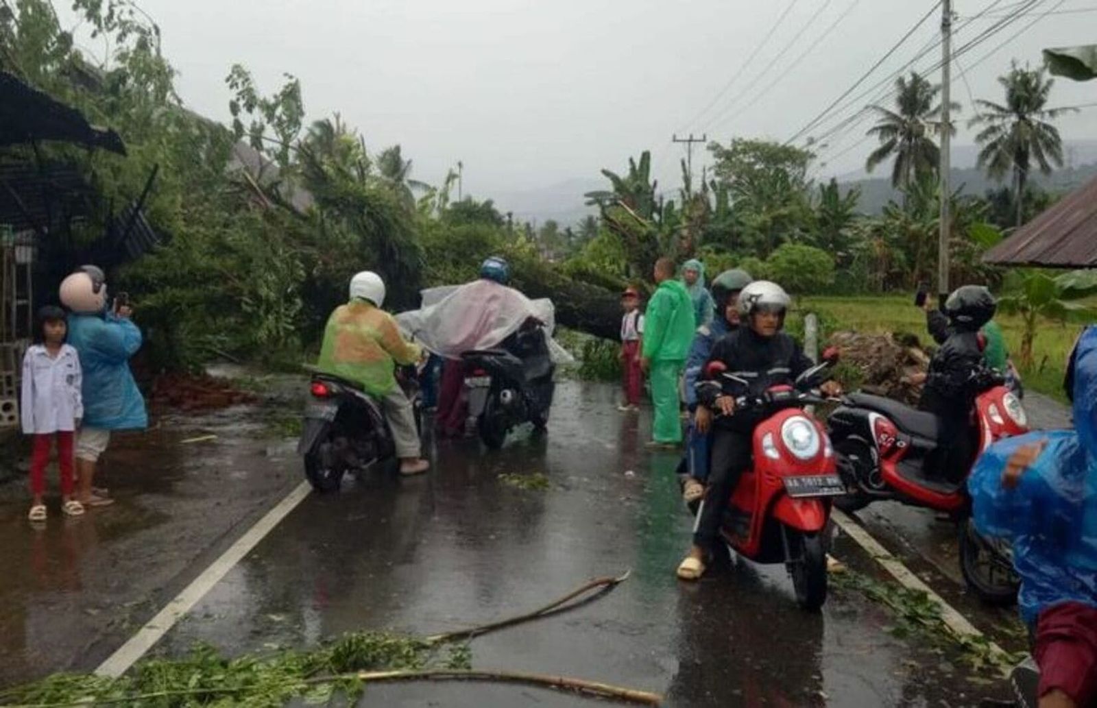 Hujan deras lebat angin kencang