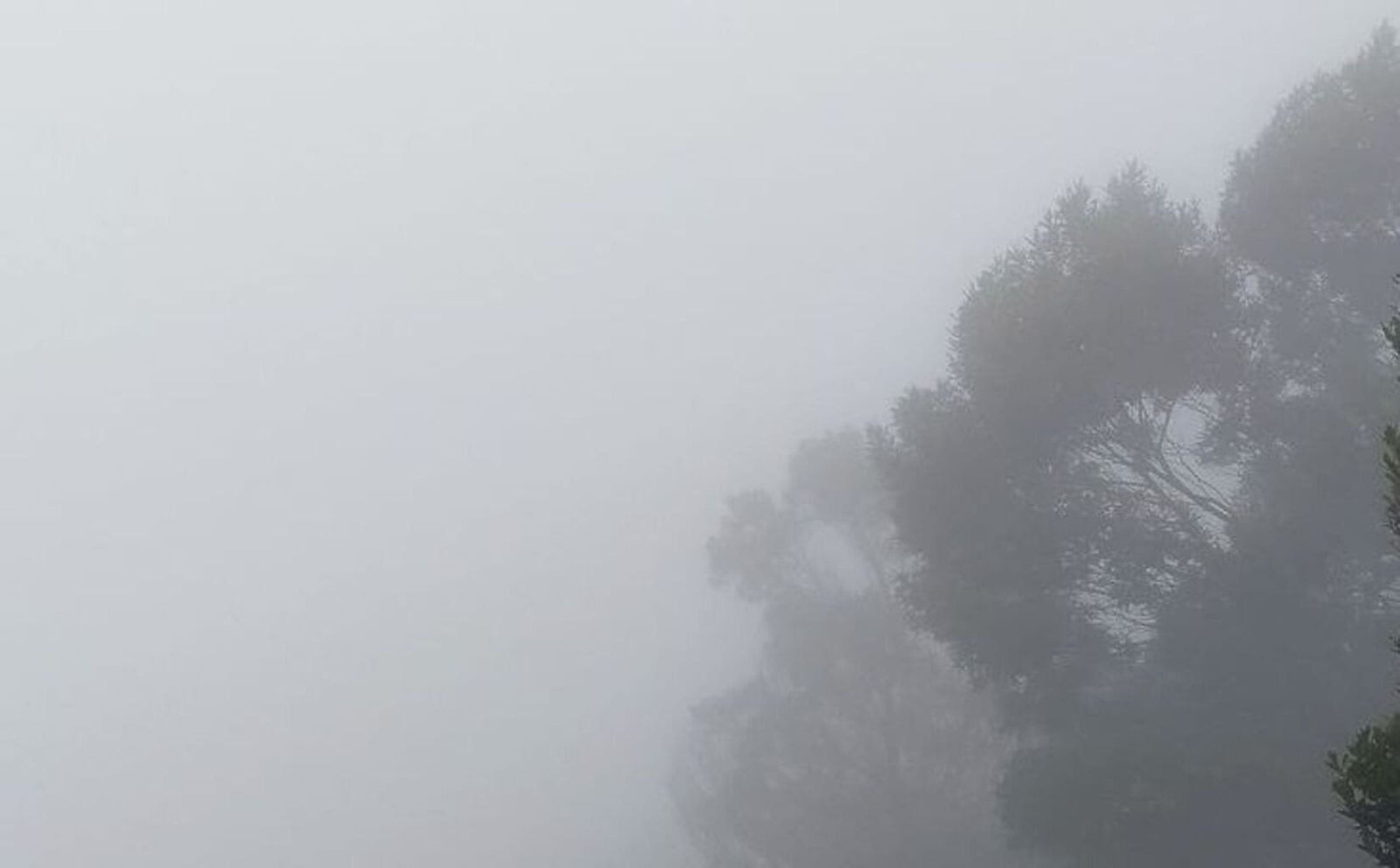 Kabut Asap